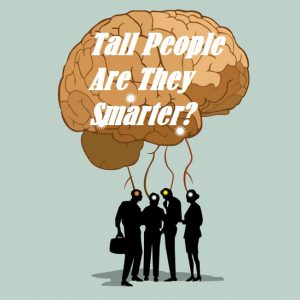 Are Tall People Smarter Than Shorter People 