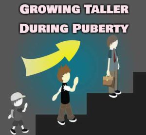 How To Grow Taller During Puberty