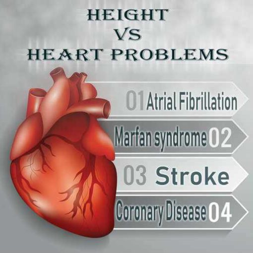 Tall People Heart Problems