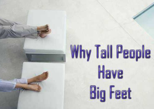 Why Do Taller People Have Bigger Feet