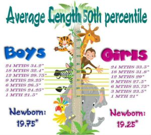 Average Baby Length Up To 24 Mths
